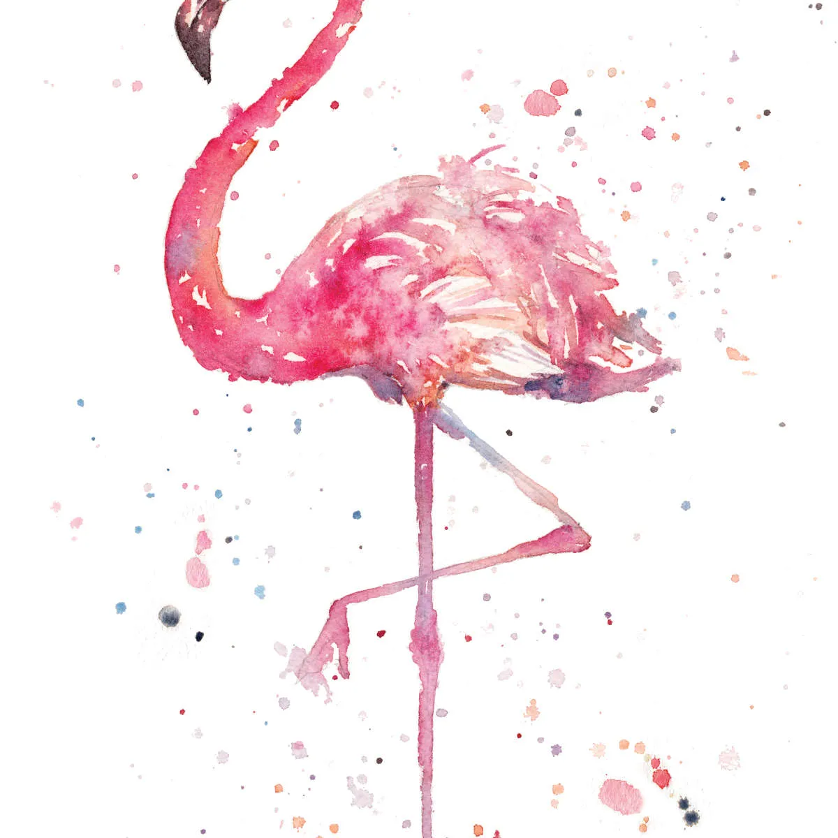 A Flamingo's Fancy Wall Art