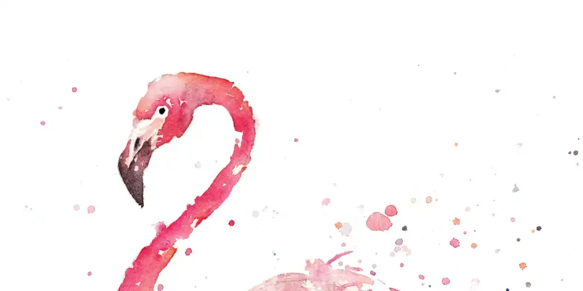 A Flamingo's Fancy Wall Art