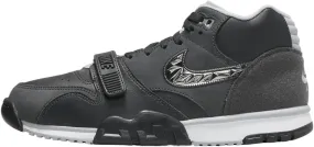 Nike Air Trainer 1 "SB LVIII Men's Shoes (FJ6195-001, Anthracite/White/Wolf Grey/Metallic Silver)
